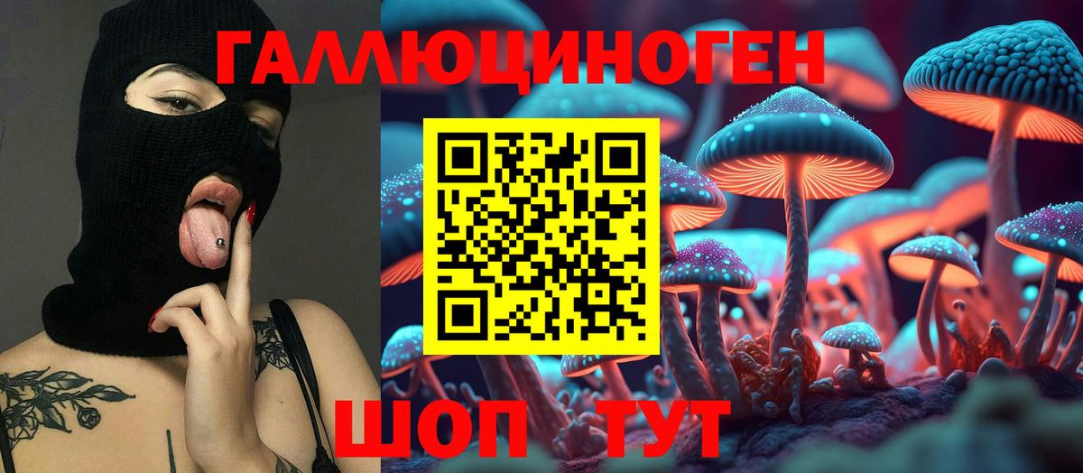 Тихорецк  Псилоцибиновые грибы MAGIC MUSHROOMS  Галлюциногенные грибы ЛСД  Вход с VPN 